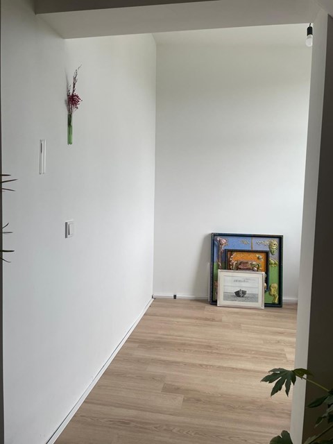 Foto 5: Zwolle - Burgemeester van Roijensingel - Foto 5