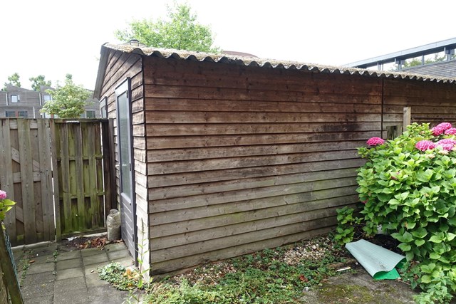 Foto 6: Apeldoorn - Linie - Foto 6