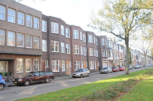 Foto 1: Den Haag - Ieplaan - Foto 1