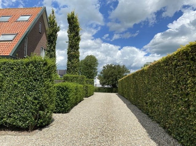 Foto 2: Hoornaar - Dorpsweg - Foto 2