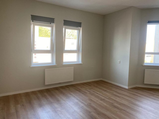 Foto 4: Honselersdijk - Grote Waard - Foto 4