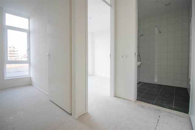 Foto 5: Zaandam - Cypressehout - Foto 5