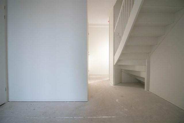 Foto 3: Zaandam - Cypressehout - Foto 3