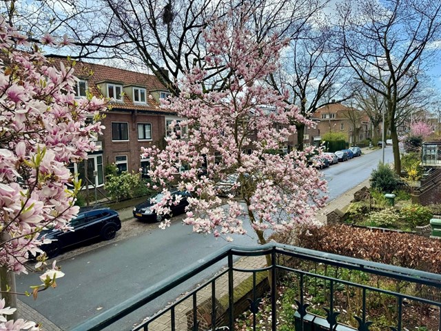Foto 3: Nijmegen - Heydenrijckstraat - Foto 3