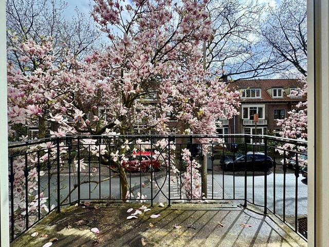 Foto 2: Nijmegen - Heydenrijckstraat - Foto 2
