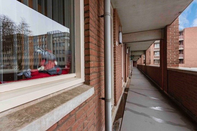 Foto 5: Maastricht - Erasmusdomein - Foto 5