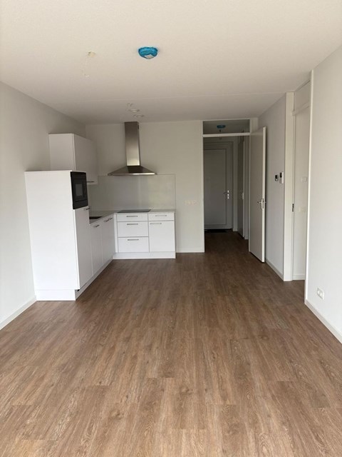 Foto 6: Terneuzen - Noordstraat - Foto 6