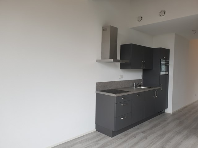 Foto 3: Eindhoven - Iepenlaan - Foto 3