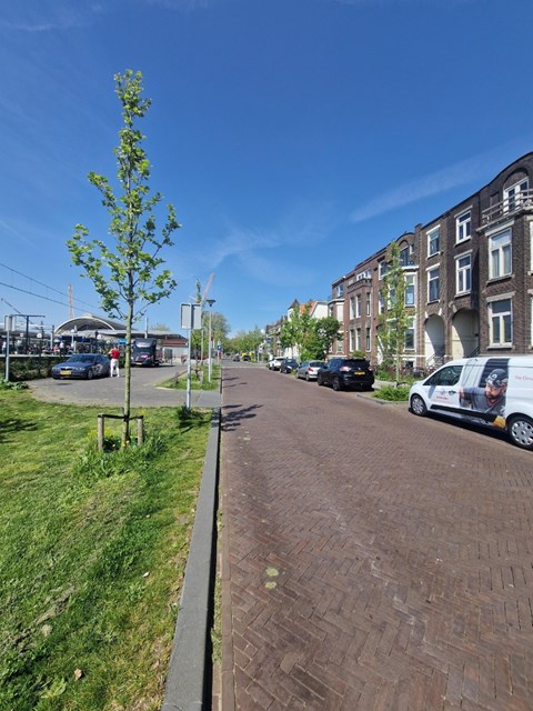 Foto 3: Zwolle - Oosterlaan - Foto 3