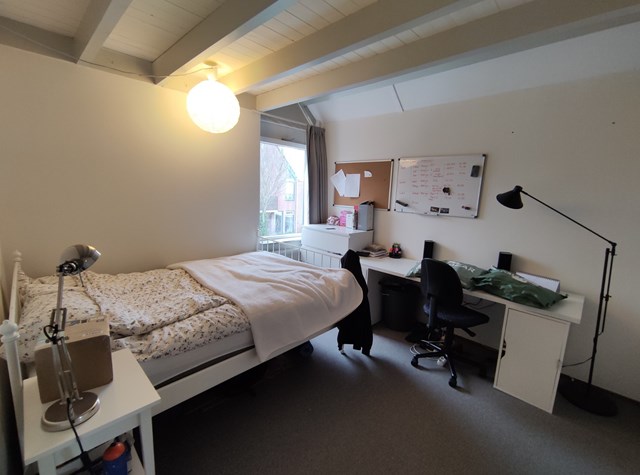 Foto 6: Groningen - Petrus Campersingel - Foto 6