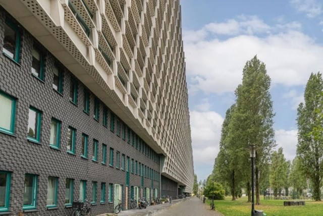 Foto 2: Amsterdam - Borneolaan - Foto 2