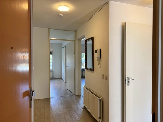 Foto 7: Utrecht - Plantage - Foto 7