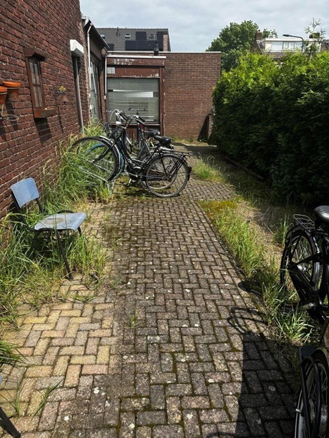 Foto 7: Breda - Lunetstraat - Foto 7