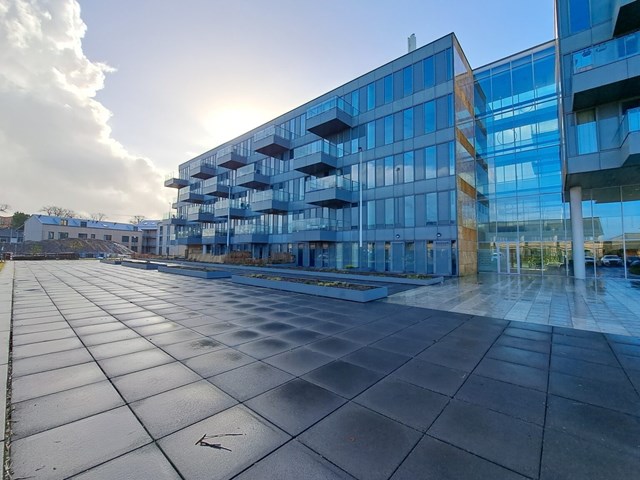 Foto 2: Eindhoven - Grenenhout - Foto 2