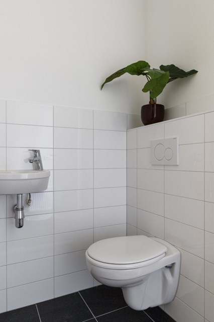 Foto 5: Tilburg - Cevennenstraat - Foto 5