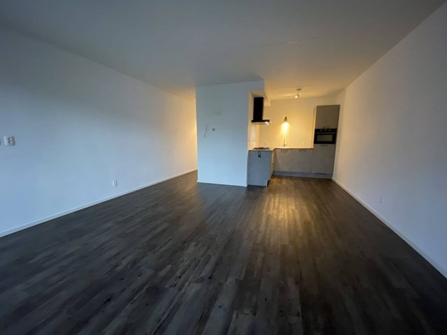 Foto 4: Eindhoven - Bergstraat - Foto 4