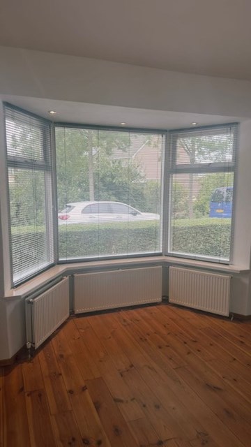 Foto 2: Rhoon - Dorpsdijk - Foto 2