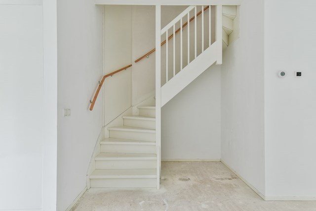 Foto 7: Zaandam - Letterhout - Foto 7