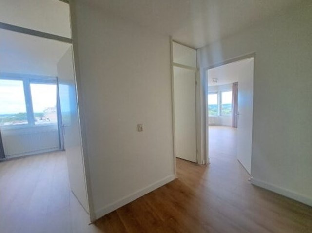 Foto 7: Amstelveen - Rosa Spierlaan - Foto 7