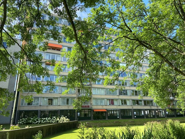 Foto 2: Leiden - Bachstraat - Foto 2