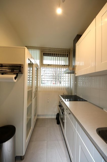 Foto 3: Leiden - Jacques Urlusplantsoen - Foto 3