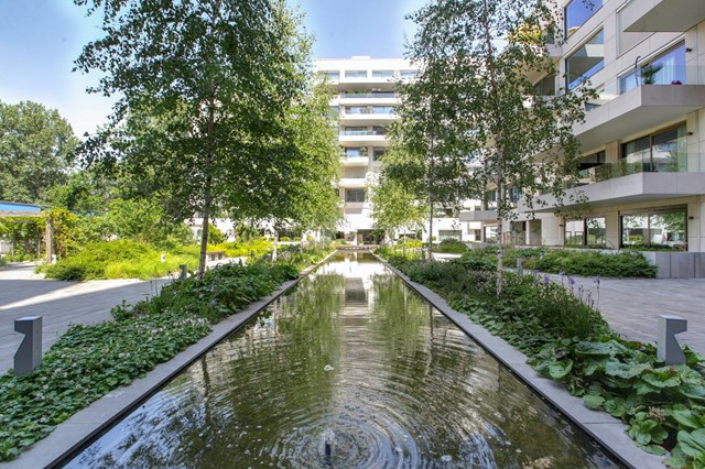 Foto 4: Amsterdam - Fred Roeskestraat - Foto 4