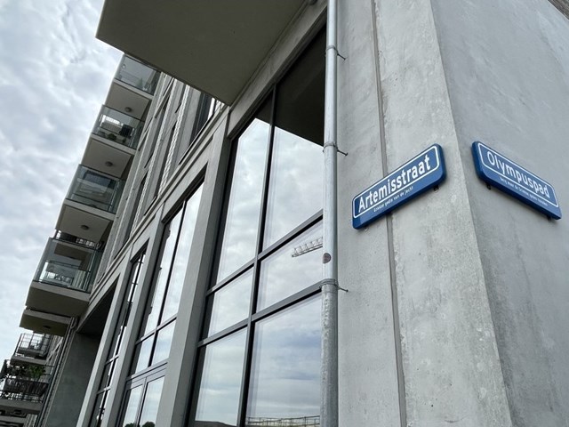 Foto 2: Leiden - Artemisstraat - Foto 2