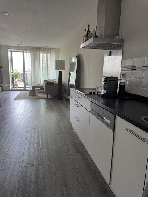 Foto 1: Tilburg - Burgemeester Brokxlaan - Foto 1