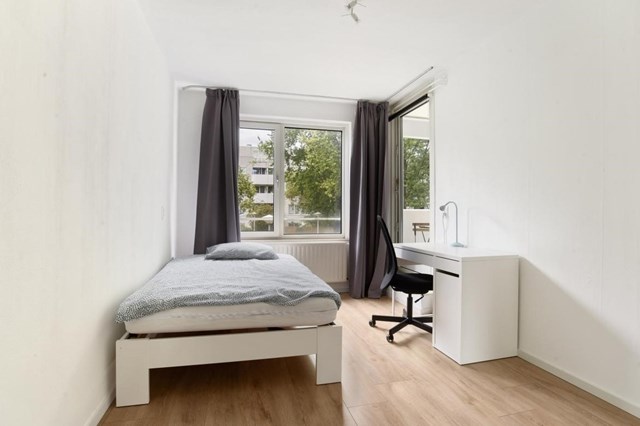 Foto 3: Amsterdam - Bernard Shawsingel - Foto 3