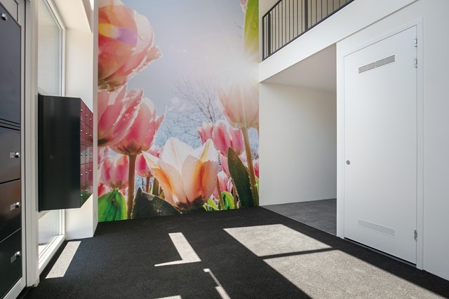 Foto 7: Heerenveen - Thorbeckestraat - Foto 7