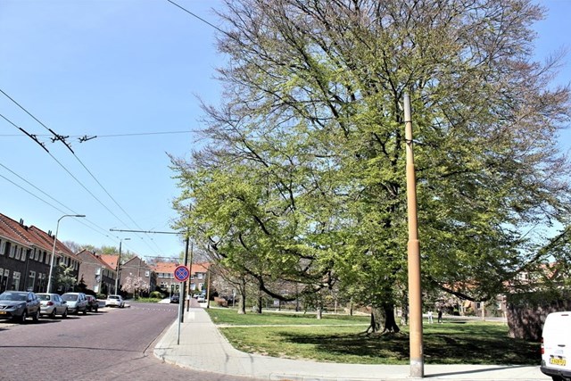 Foto 2: Arnhem - Schuttersbergplein - Foto 2