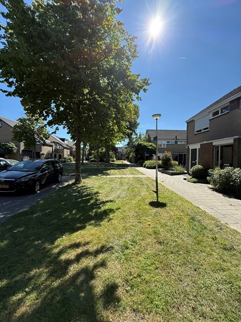 Foto 2: Mijnsheerenland - Lisgors - Foto 2