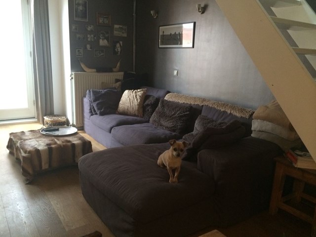 Foto 2: Amsterdam - Voetboogstraat - Foto 2