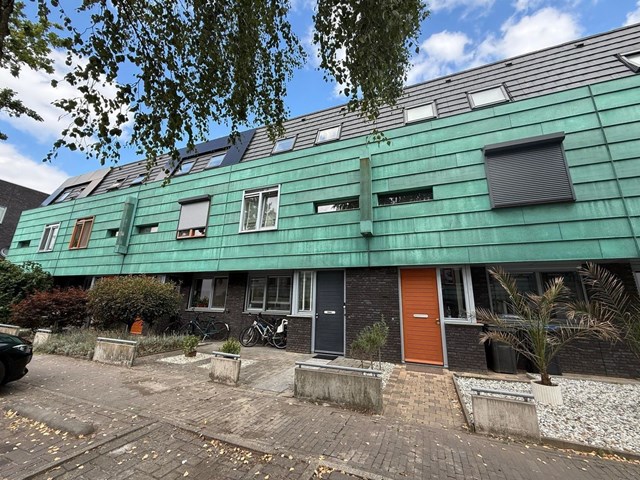 Foto 1: Eindhoven - Grasplant - Foto 1