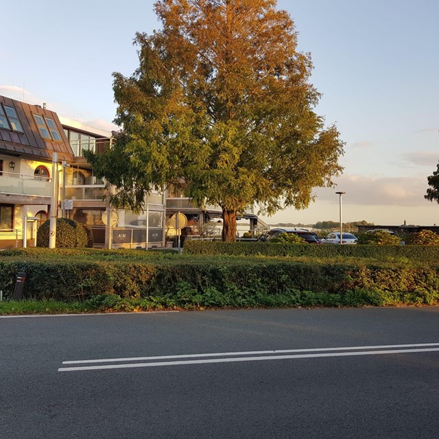 Foto 3: Loosdrecht - Veendijk - Foto 3