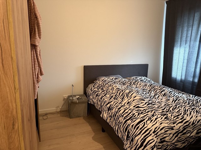 Foto 5: Helmond - Waardstraat - Foto 5