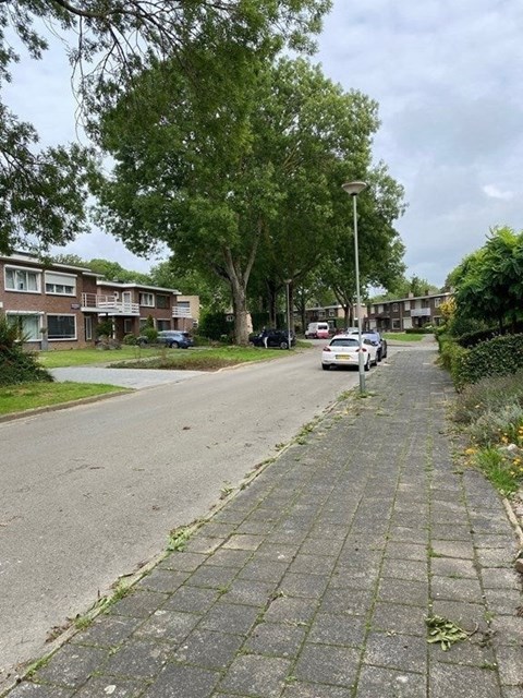 Foto 4: Geleen - Landsteinerstraat - Foto 4