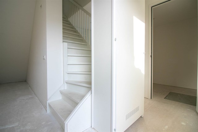 Foto 2: Zaandam - Cypressehout - Foto 2