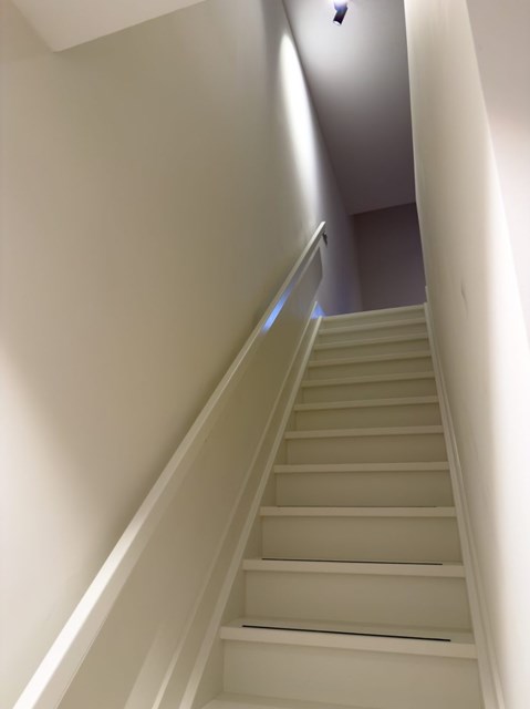 Foto 5: Rotterdam - Boomgaardhof - Foto 5