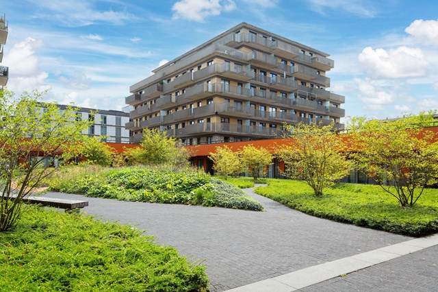 Foto 2: Amstelveen - Nicolaas Tulplaan - Foto 2