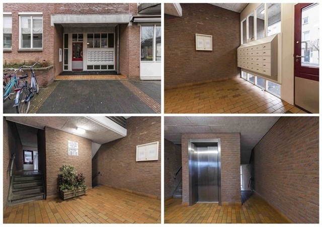 Foto 4: Maastricht - Erasmusdomein - Foto 4