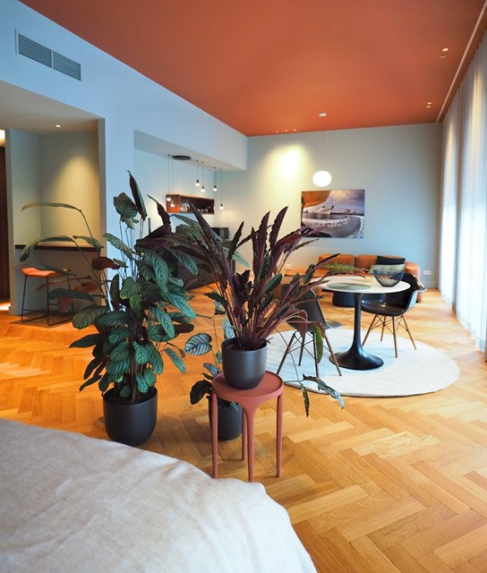 Foto 5: Rotterdam - Van Vollenhovenstraat - Foto 5