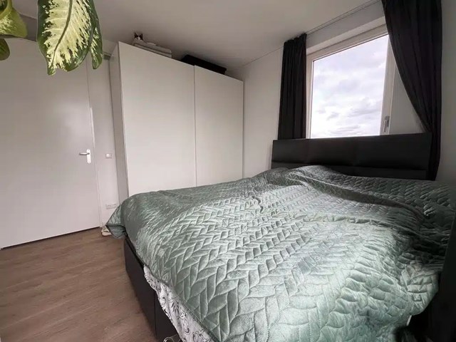 Foto 7: Leiden - Kanaalpark - Foto 7