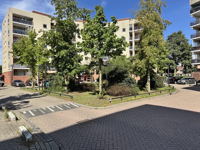 Foto 4: Utrecht - Plantage - Foto 4