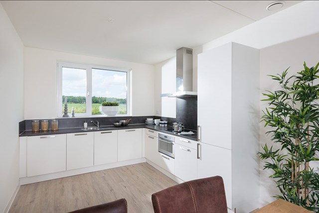 Foto 5: Groenlo - Theo de Groenstraat - Foto 5