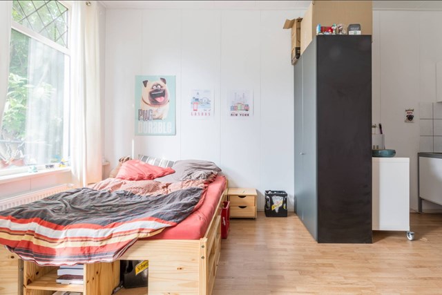 Foto 3: Leiden - Lage Rijndijk - Foto 3