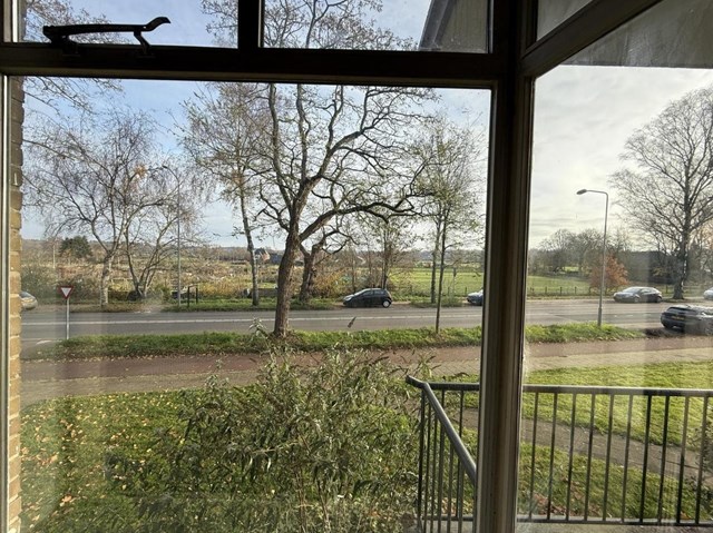 Foto 7: Wageningen - Diedenweg - Foto 7