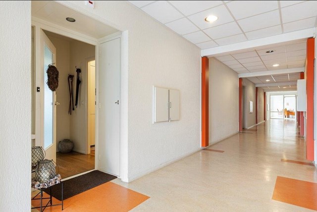 Foto 3: Paterswolde - Hoofdweg - Foto 3