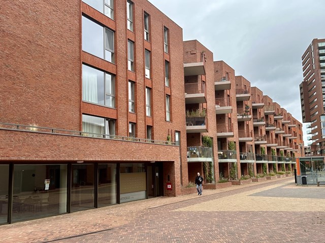 Foto 1: Eindhoven - Meergras - Foto 1
