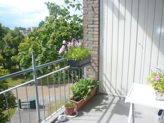 Foto 4: Meppel - van Ewijcksingel - Foto 4